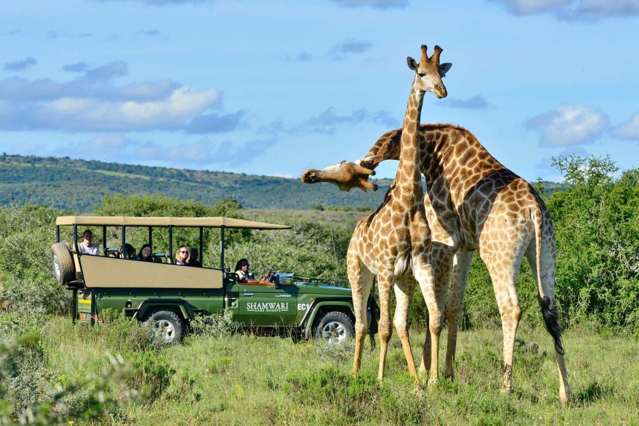 Shamwari Eagles Crag Villa Port Elizabeth Exteriör bild