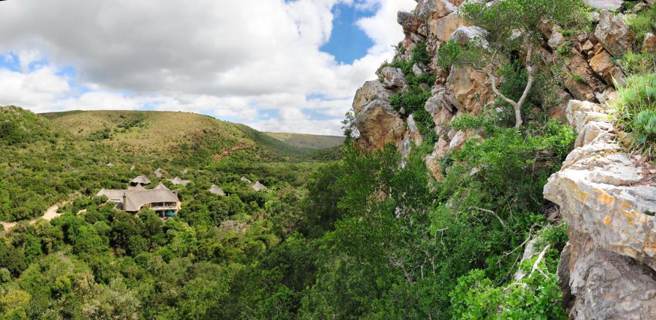 Shamwari Eagles Crag Villa Port Elizabeth Exteriör bild